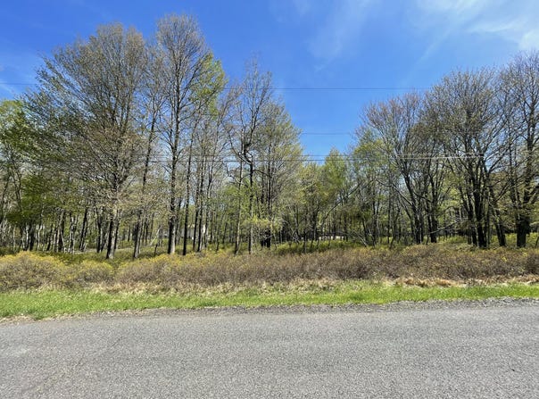 Forest Hill Drive, Blakeslee, PA 18610