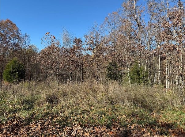 TBD Berwick  LN, Bella Vista, AR 72714