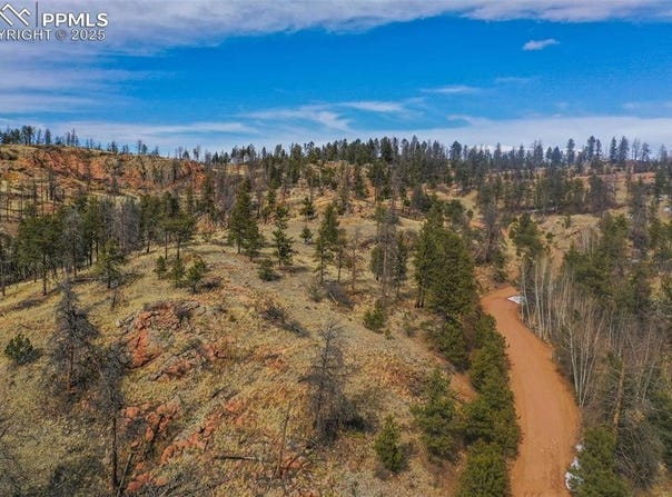 397 Chateau West Drive, Florissant, CO 80816