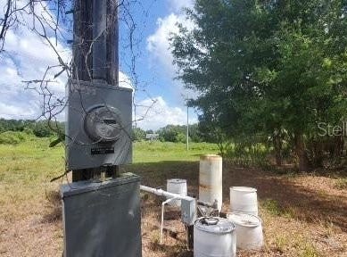 0 OLD BARTOW EAGLE LAKE ROAD, BARTOW, FL 33830