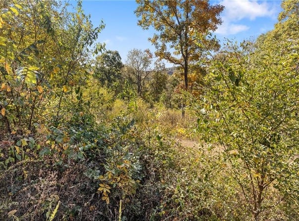 Lot 31 Peaceful  PL, Harrison, AR 72601