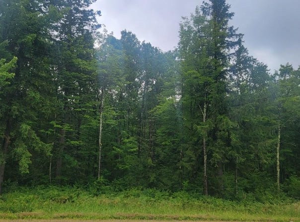 N4651 PENNINGTON RD, Prentice, WI 54556
