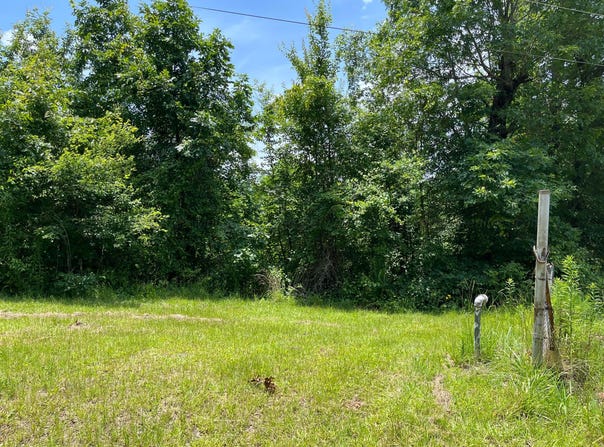1401 PRIDMORE Rd, Quinton, AL 35130