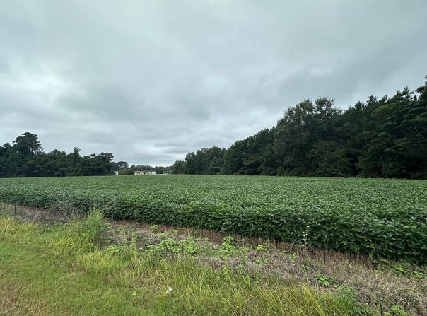 00 Bass Drive, Santee, SC 29142