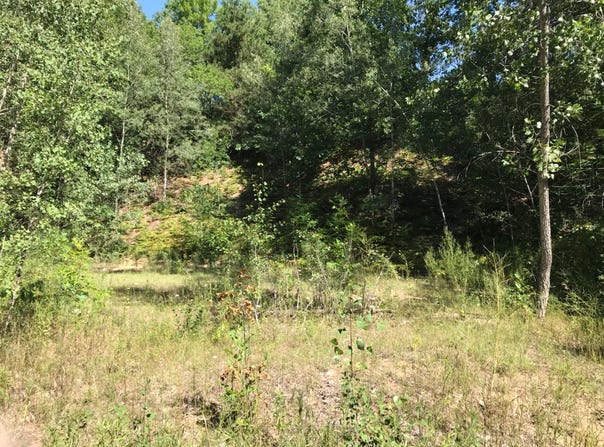 S Riverview Drive lot: 10&11, Hesperia, MI 49421