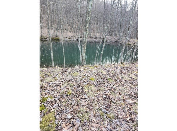 31 Acres Along Saint Lawrence Rd, PA 16627