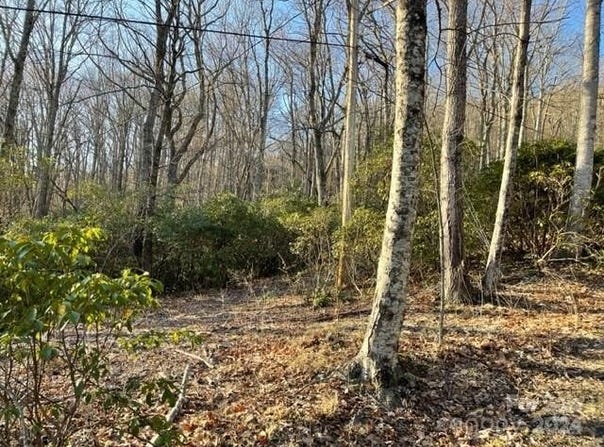 E Poplar Lane, Hendersonville, NC 28792