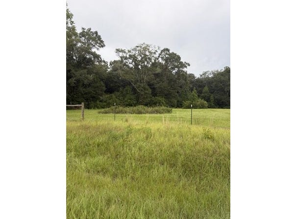 State Highway 103 Lot 2, Slocomb, AL 36375