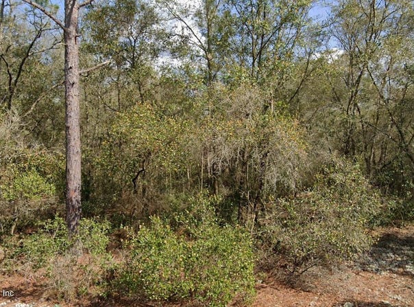 VIRGINIA Street, Interlachen, FL 32148