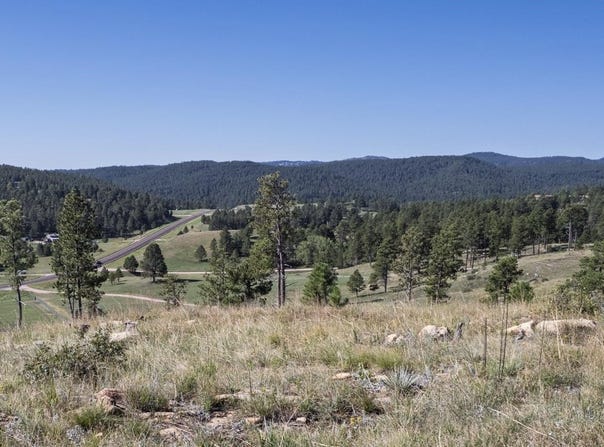 Talon Trail lot: 3C, Keystone, SD 57751