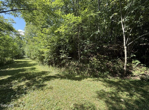 Overlook Drive, Roan Mountain, TN 37687