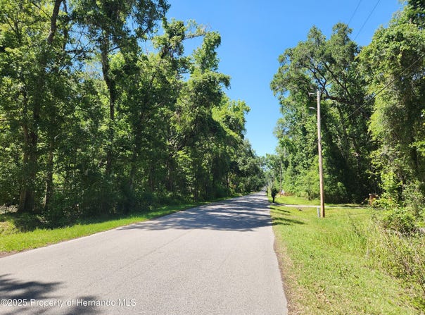 Royal Drive, Brooksville, FL 34601