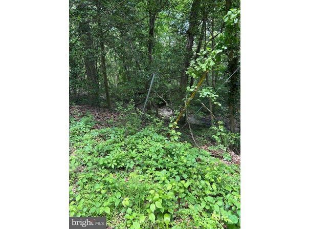 ELM TRAIL, CROWNSVILLE, MD 21032