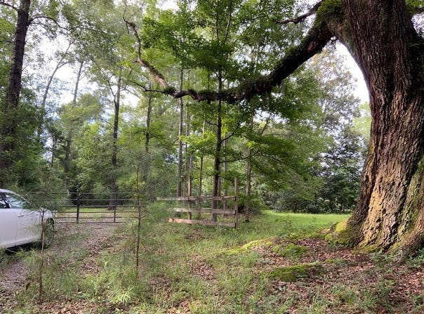 -00 Curlie Seal Rd, Picayune, MS 39466