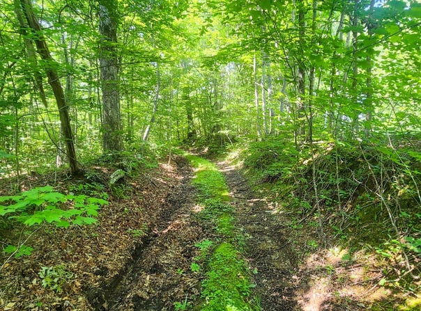 0 Low Gap Road, Robbins, TN 37852