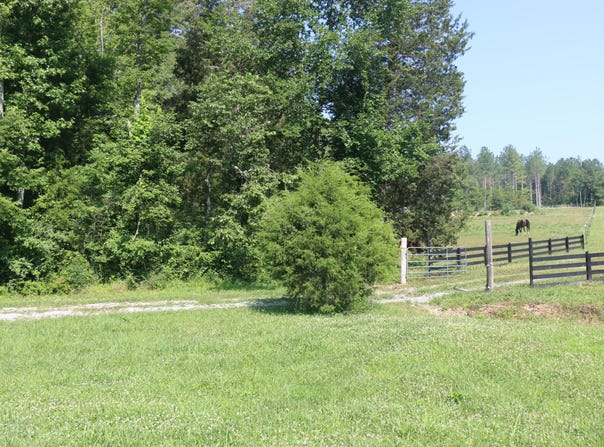 13585 N Nopone Valley Road, Decatur, TN 37322