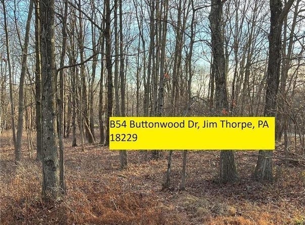 54 Buttonwood Drive, Penn Forest Twp, PA 18229
