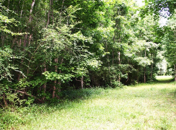 0 Kitfield Road, Moncks Corner, SC 29461