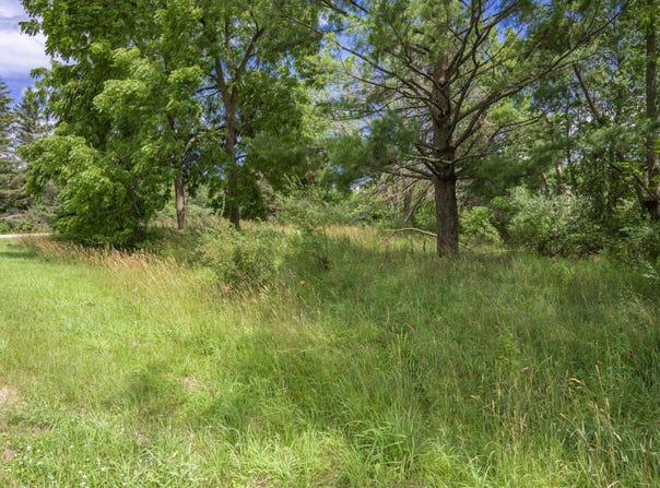 Remington Drive lot: 870, La Valle, WI 53941