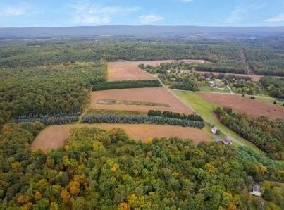 267 Long Mountain Road, Effort, PA 18330