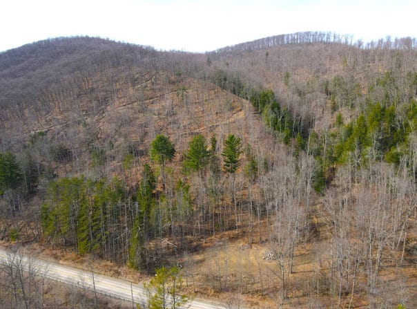 VL Bone Run Rd (Off), South Valley, NY 14738