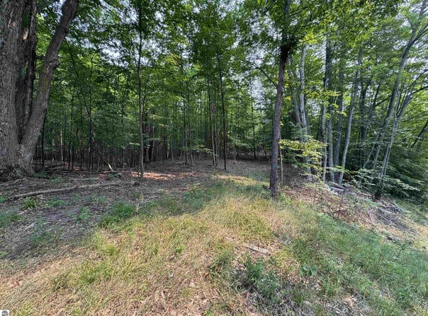 Lot #3 E Bellinger Road, Cedar, MI 49621