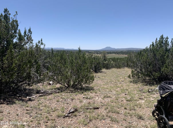 37925 W RAPTOR Road, Seligman, AZ 86337