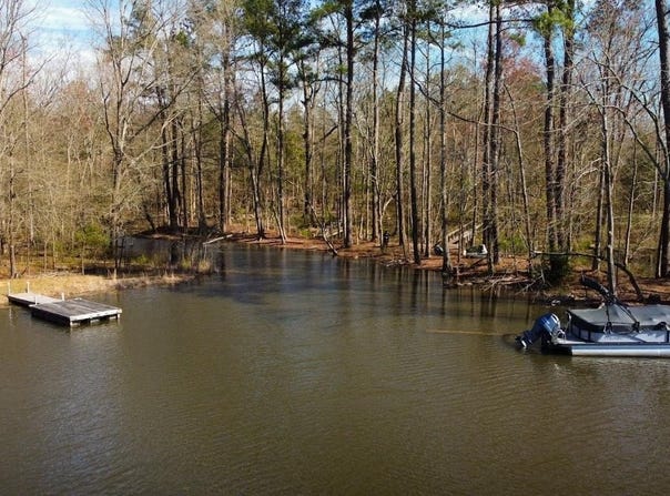 345 Bent Oak Drive, Chapin, SC 29036
