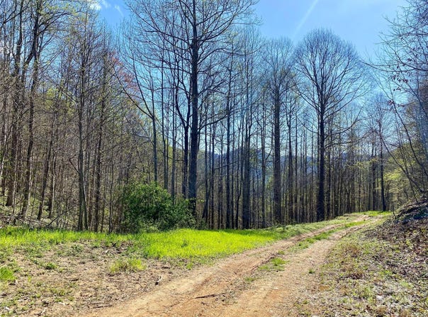 Grapevine Road, Marshall, NC 28753
