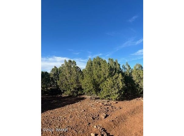 8776 Clark Road, Show Low, AZ 85901