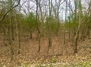 3076 Jackson Drive, Hillsboro, MO 63050