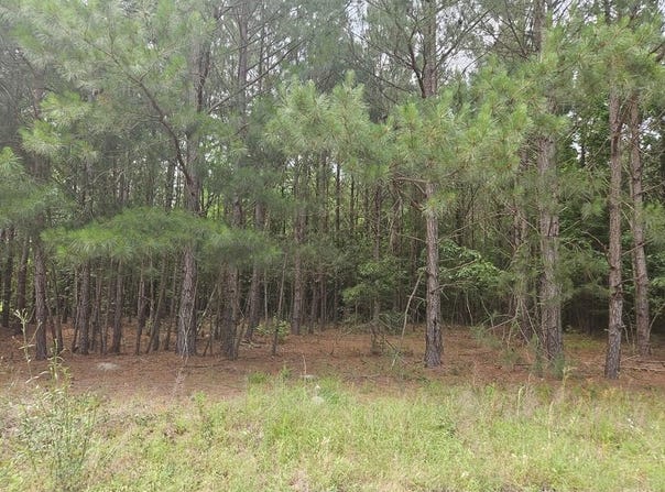 2910 Doc Naomi Road, Manning, SC 29102