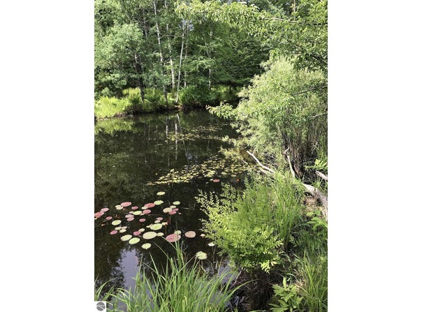 00 W Deborah Ann Trail, Empire, MI 49630
