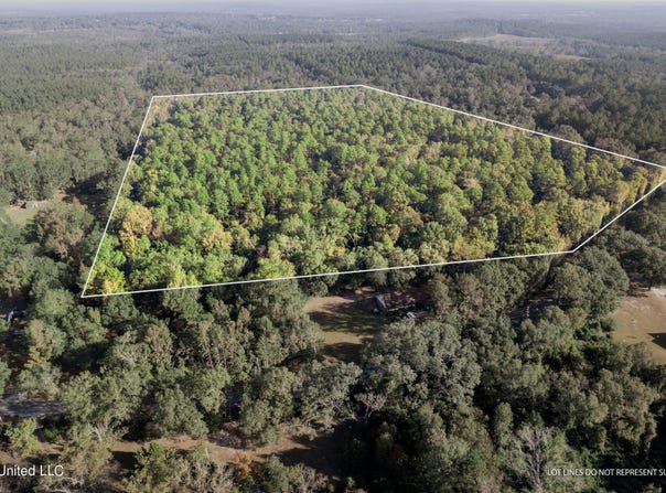 Nhn Restertown Road, Poplarville, MS 39470