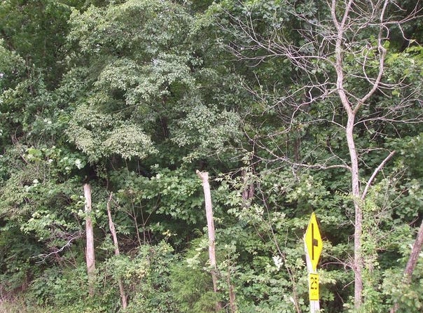0 DB 702 DP 418 KY RT 550, Hueysville, KY 41640