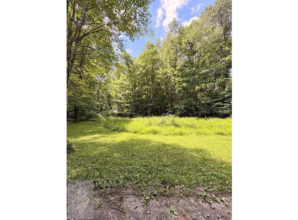 Pine View Drive, PIPESTEM, WV 25979