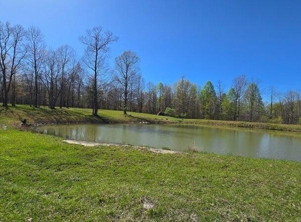 217 A Day Dream Drive, Dunlap, TN 37327
