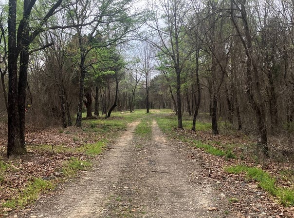 TBD Alicia Lane, Howe, OK 74940