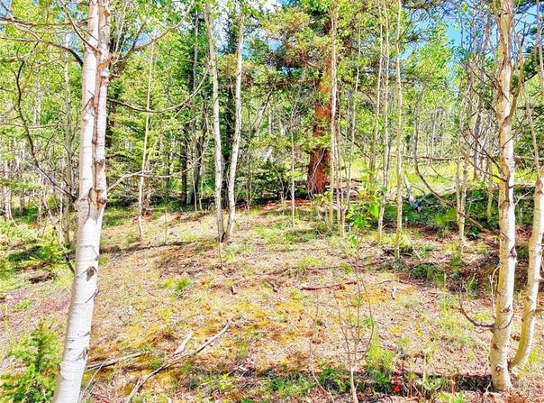 224 APACHE TRAIL, Como, CO 80432