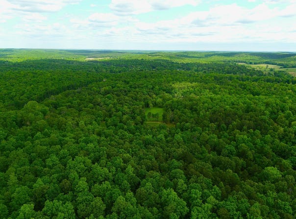 Gatewood Mo, Gatewoood, MO 63942