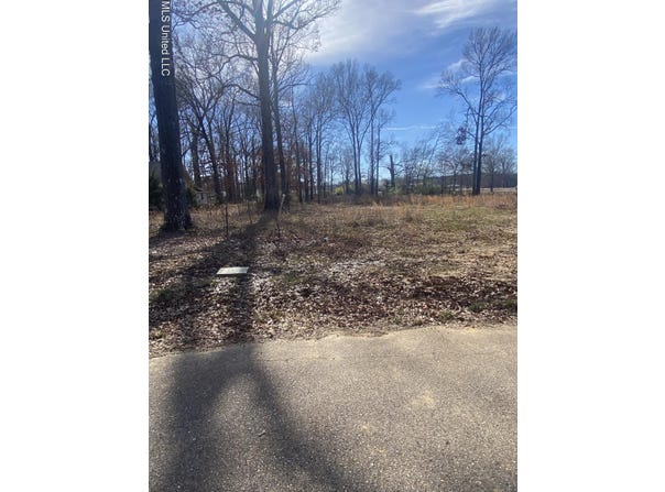 Nash Drive, Grenada, MS 38901