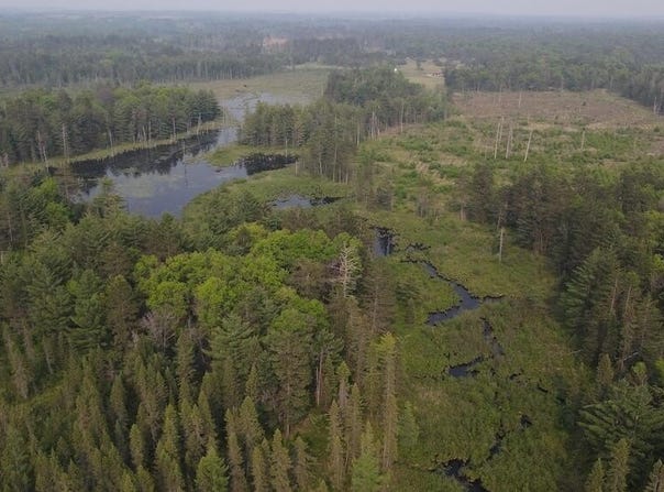 Parcel B Cherry Creek Trail, Grayling, MI 49738