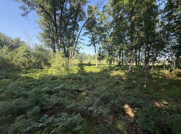 Tbd W Royal Road, Stanwood, MI 49346