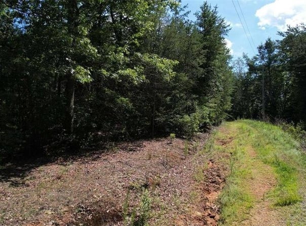 0) Flagpole Circle, Ellijay, GA 30540