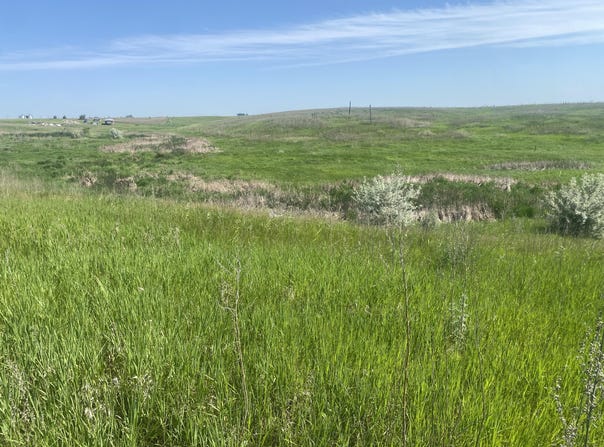 10650 386th Avenue, Frederick, SD 57441