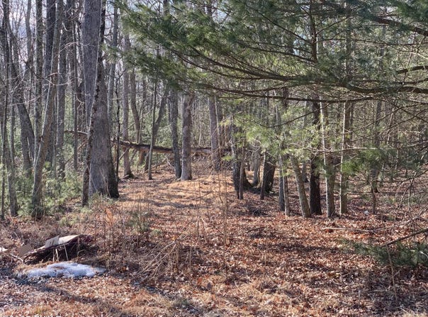 Lot 47 Hillside Ct., Dingmans Ferry, PA 18328