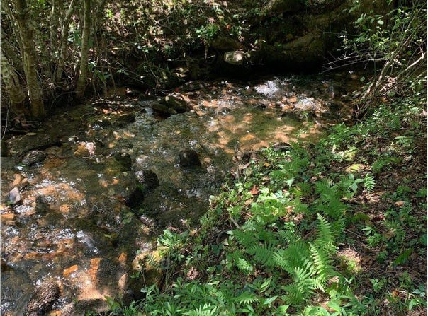 Lot20 Bryant Cove Road, Blairsville, GA 30512