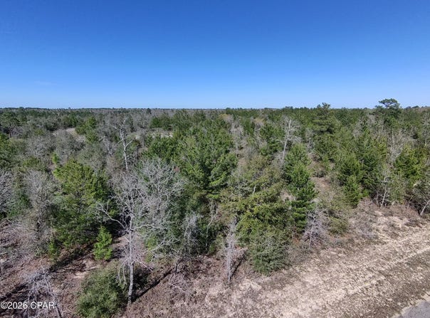 Dandelion Drive lot: 55, Chipley, FL 32428