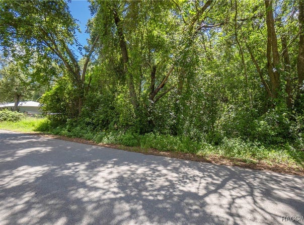 474 N Morris Avenue, Inverness, FL 34453