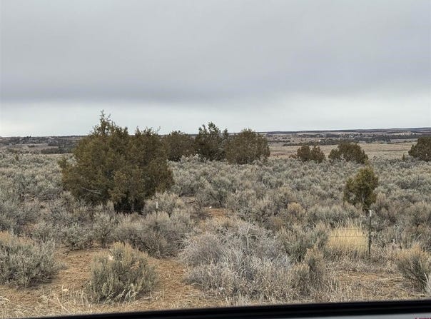 Highway 184, Lewis, CO 81327